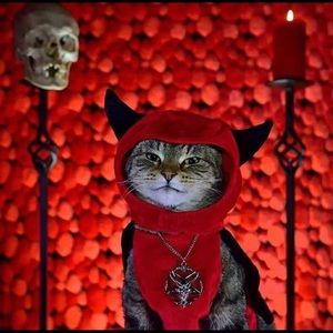 Meet your Posher, Liz